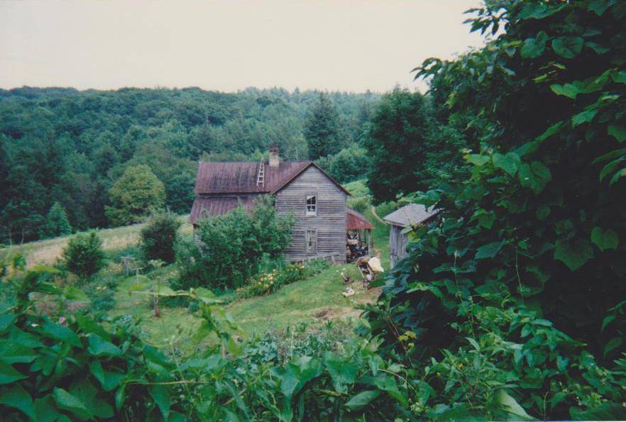Cabin On a hill behind the cabin Ray’s Daddy built.